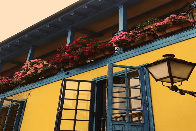 Making A Window Box – Tips From A Flower Fanatic