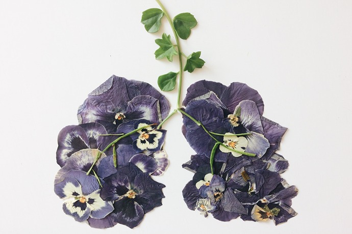 How To Press Flowers - Everything You Need To Know!