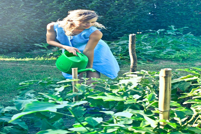 How To Keep Birds Out Of Your Veggie Patch