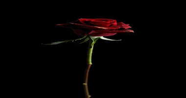 Phantom Of The Opera - Can The Film Do Justice To The Stage Play?