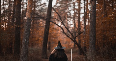 Wicked: The Life And Time Of The Wicked Witch Of The West - Book Review